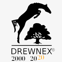 Drewnex 200